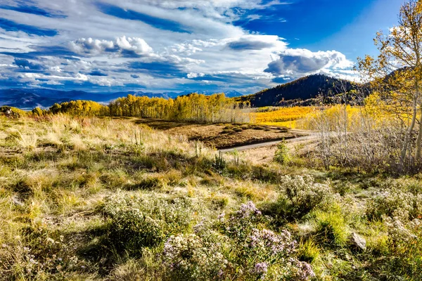 Colori Autunnali Delle Montagne Wasatch Con Fogliame Aspen Oro — Foto Stock