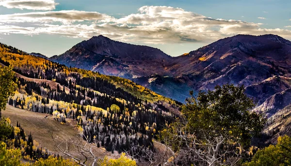 Colori Autunnali Delle Montagne Wasatch Con Fogliame Aspen Oro — Foto Stock