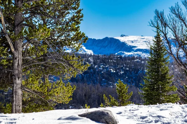 Cordillère Wind River Wyoming — Photo