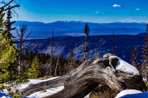 Cordillère Wind River Wyoming — Photo