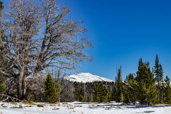 Cordillère Wind River Wyoming — Photo