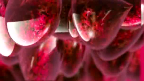Tropfenförmige Rubine Mit Blüten Inneren — Stockvideo