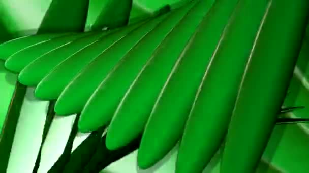 Groene Inktvis Shell Vormige Thingys — Stockvideo