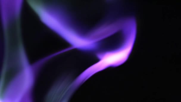 Violett Gefärbter Rauch Steigt Vor Schwarzem Hintergrund Auf — Stockvideo