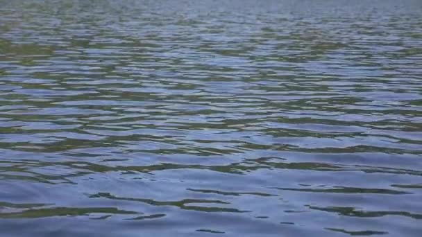 Волны Воды Замедленной Съемке — стоковое видео