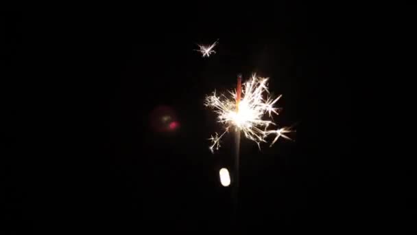 Vídeo Sparkler Noite — Vídeo de Stock