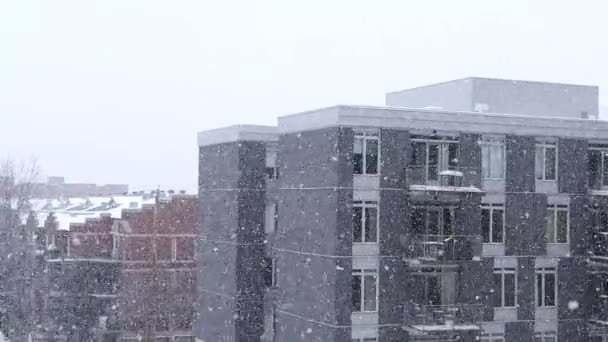 Ciudad Nieve Invierno Copos Nieve — Vídeos de Stock