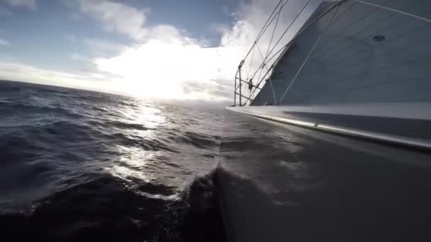 Barco Crucero Olas Viaje — Vídeo de stock