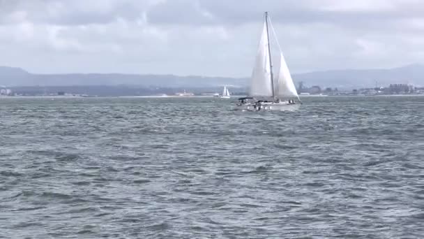 Båten Trafikerar Havet Havet — Stockvideo