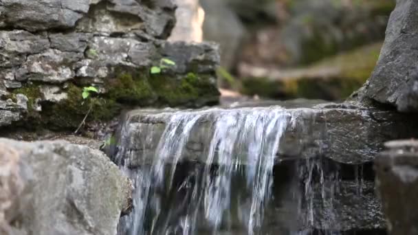 Cascade Creek Water Flowing — Stock Video