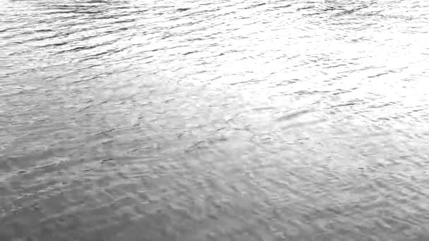 Water Surface Waves Lake Motion — Stock Video