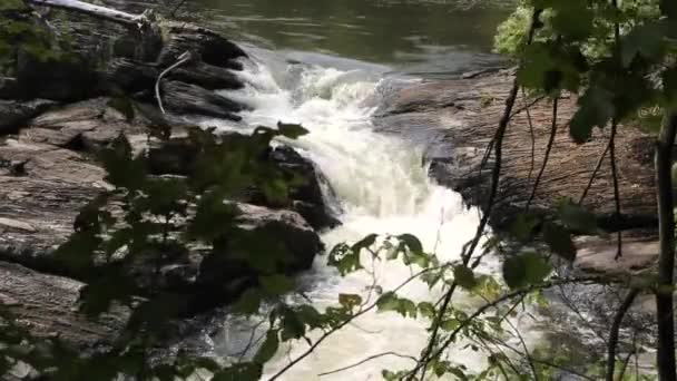 Waterval Trapsgewijs Stroom Water Creek — Stockvideo