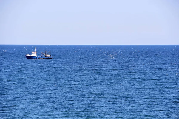 ship catches fish in the sea