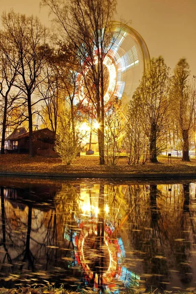 Attractie het reuzenrad met lichtjes in het nacht pretpark — Stockfoto