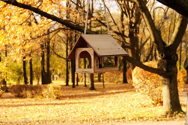 Beslemek için sonbahar ağaçta Kuş Parkı — Stok fotoğraf