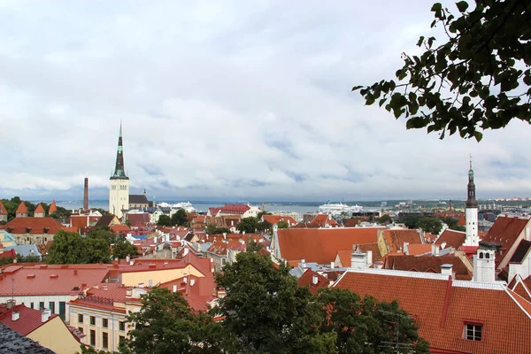 Vista panorâmica da altura da cidade velha de Tallinn — Fotografia de Stock