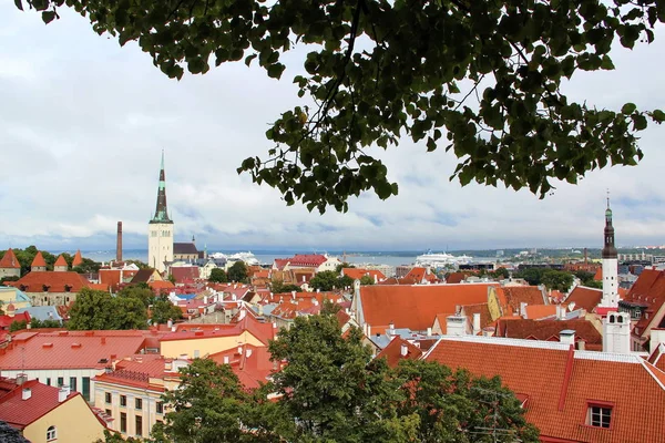 Vista panorâmica da altura da cidade velha de Tallinn — Fotografia de Stock