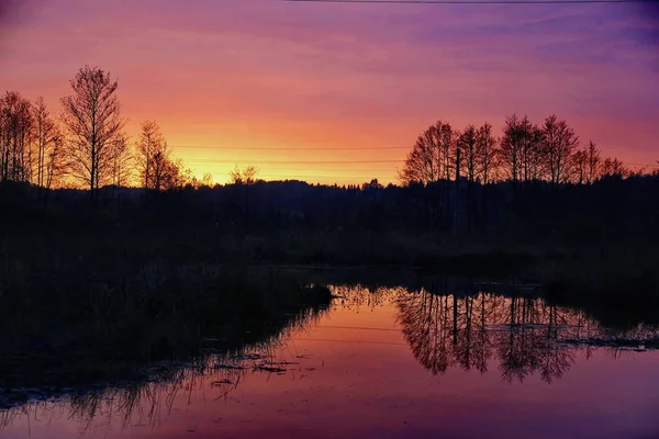五颜六色的日落在湖在森林里 免版税图库照片