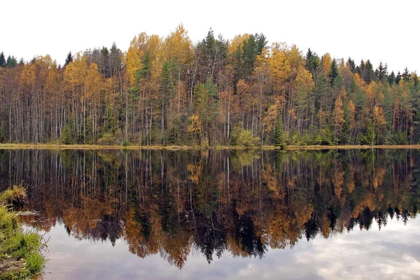 Осенний лес отражается на зеркальной поверхности воды озера — стоковое фото