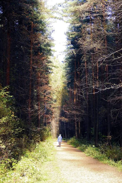 Chemin de terre sombre à travers la forêt d'automne — Photo