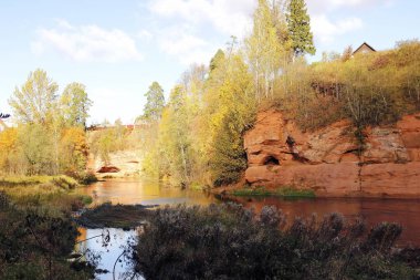 küçük bir nehir üzerinde kumlu üzerinde sonbahar ağaçları