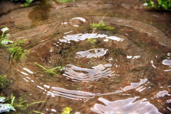 한 방울 의물 매크로에서 녹은 물보라 — 스톡 사진
