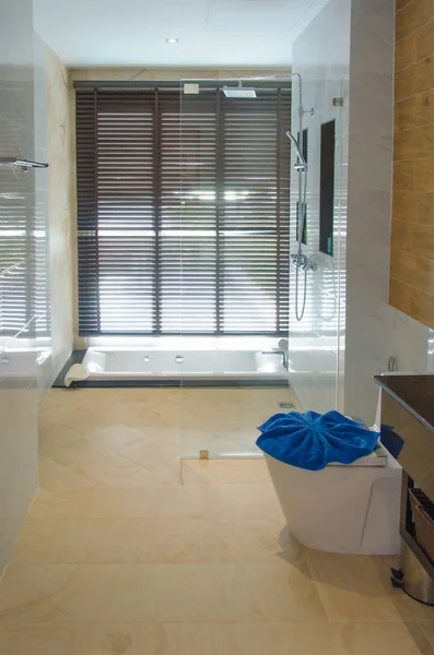 Modern Interior Bathroom Shower — Stock Photo, Image