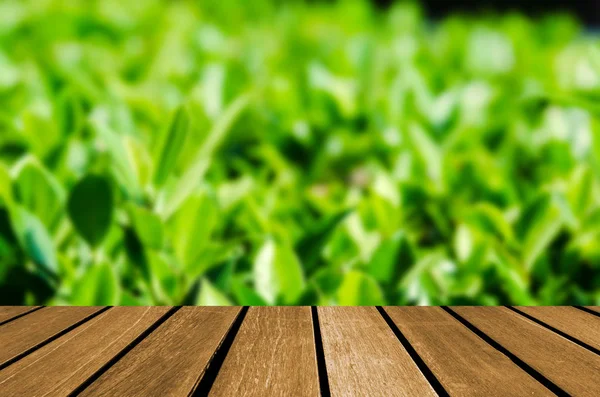 Holz Tischplatte Und Abstrakte Verschwommene Natur Grünes Blatt Hintergrund Kann — Stockfoto