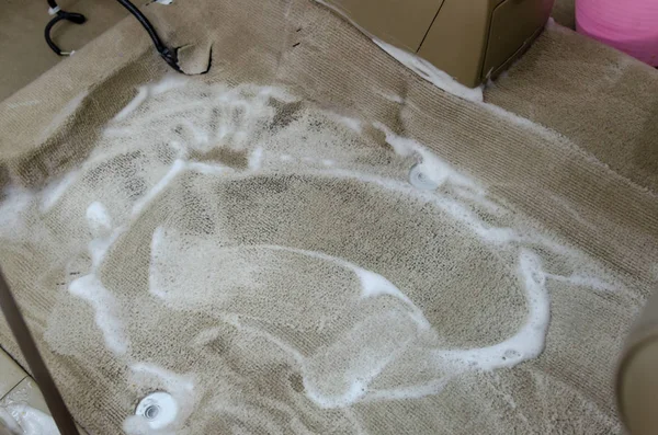 Wash the car carpet