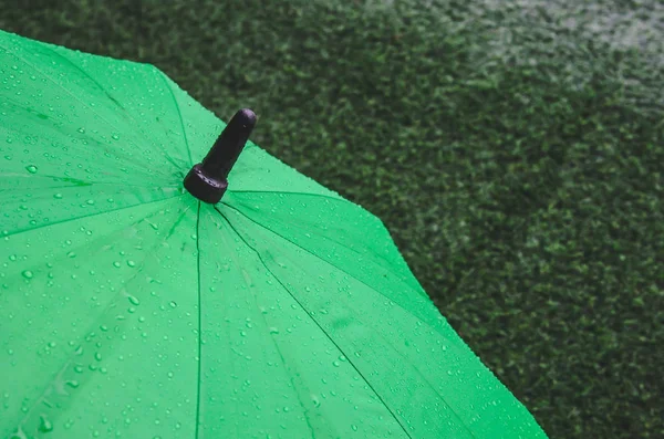 Парасолька і дощ — стокове фото