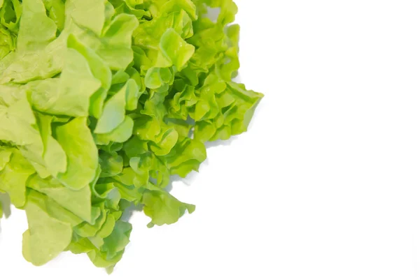 Green oak salad — Stock Photo, Image