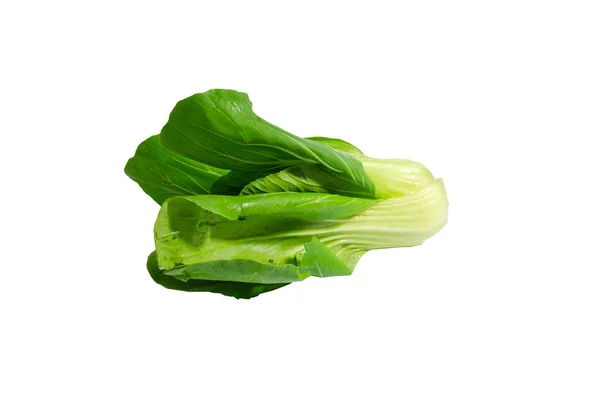 Zielona sałata kantońska — Zdjęcie stockowe