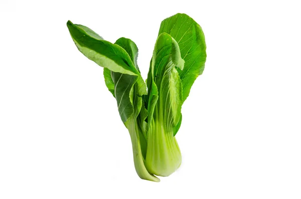 Зеленый салат-латук — стоковое фото