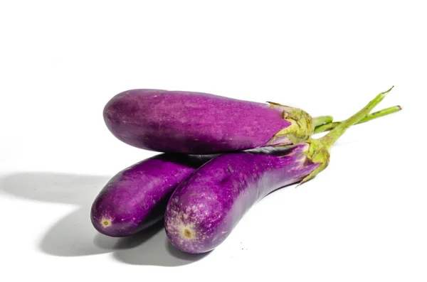 Isolerte lilla eggplanter – stockfoto