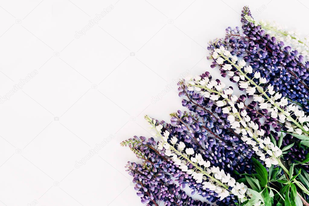 Wild flowers white and violet lupin 