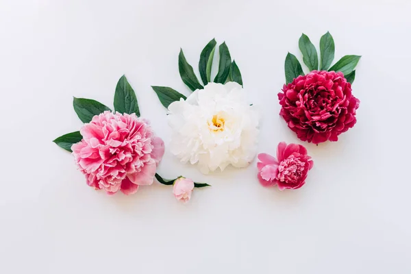 Blomstersammensetningen – stockfoto