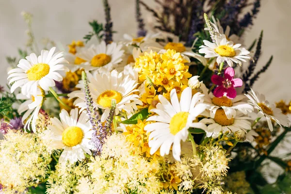 Букет полевых цветов — стоковое фото