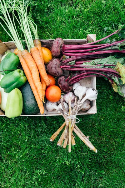 Vegetables from the organic garden — Stock Photo, Image