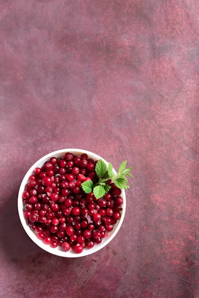 Frozen Cranberries Sprig Mint White Bowl Burgundy Background View — Stock Photo, Image