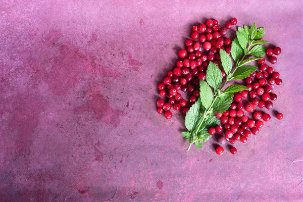 Cranberries Sprig Mint Burgundy Background Greeting Card Your Text — Stock Photo, Image