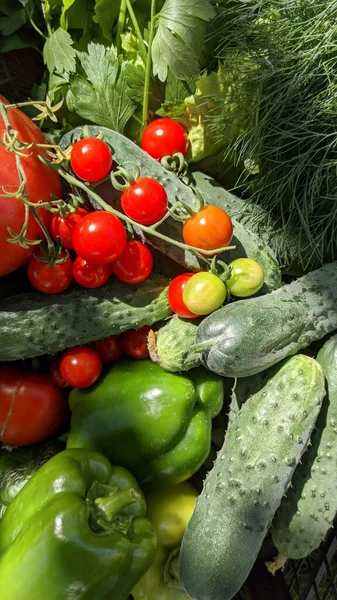 Verduras Rojas Verdes Concepto Comida Saludable — Foto de Stock