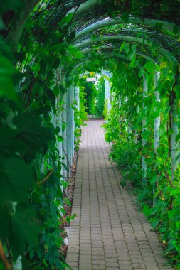 Varşova Kütüphanesi yaz bahçesinde geçiş