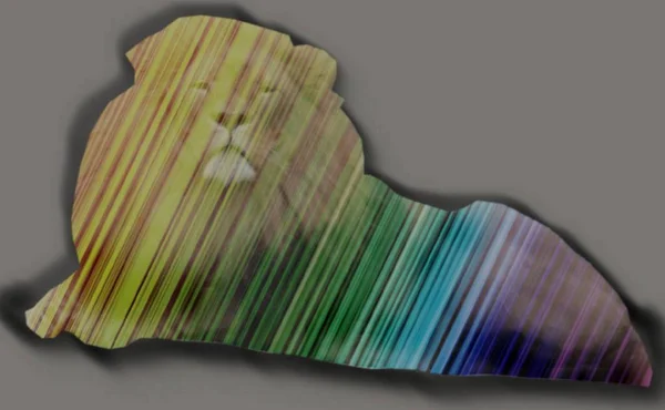 Rainbow Lev Digitální Umění Stock Fotografie