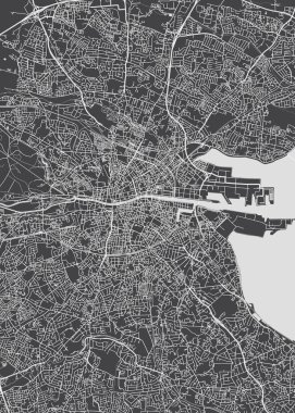 Tek renkli planı Dublin şehir ayrıntılı