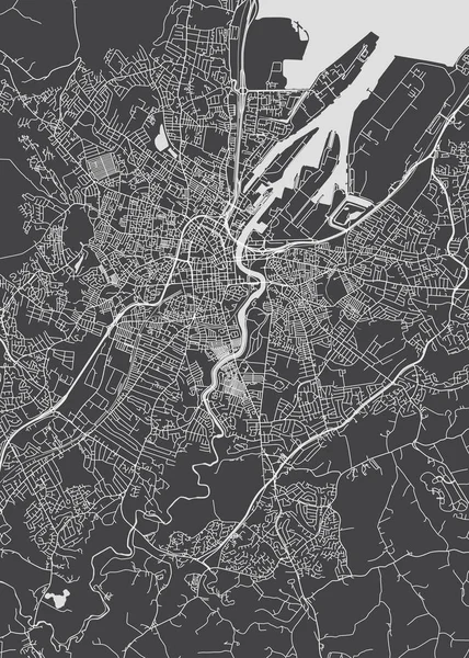 Monocromo Ciudad Plan Detallado Belfast — Archivo Imágenes Vectoriales