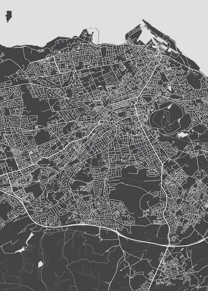 Monocromo Ciudad Plan Detallado Edimburgo — Archivo Imágenes Vectoriales