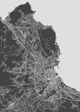 Şehir haritası Palermo, monokrom detaylı plan, vektör illüstrasyonu