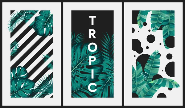 Imágenes creativas con hojas tropicales en el fondo de la raya — Vector de stock