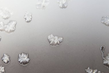 Çok güzel ve sıradışı hoarfrost camına görünüyor