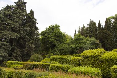 Güzel yaz bahçe tatilcilerin için yolları sağlamaya hazırdır
